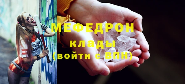 индика Михайловск