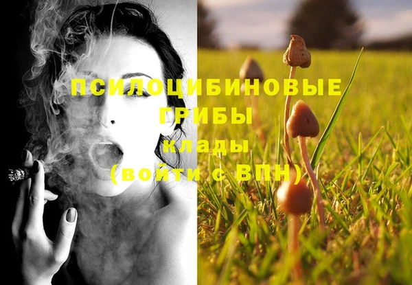 прущие крисы Балашиха