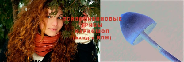 стафф Оленегорск