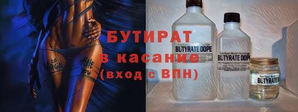 индика Михайловск