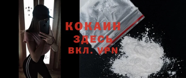стафф Оленегорск
