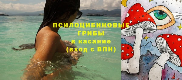 бошки Тутаев