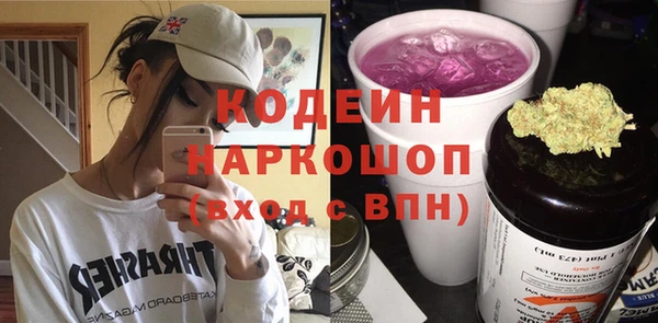 индика Михайловск