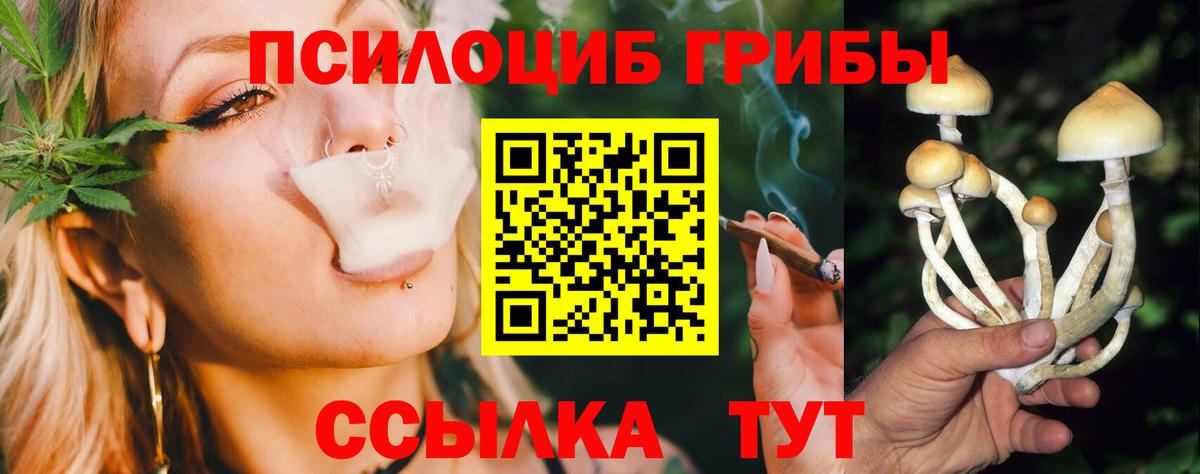 Псилоцибиновые грибы мицелий Александров